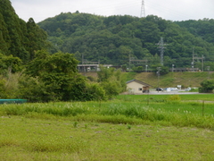 P1000123.JPG