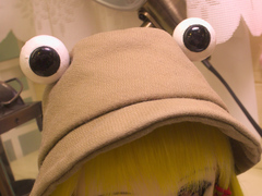 c_P1160341.jpg